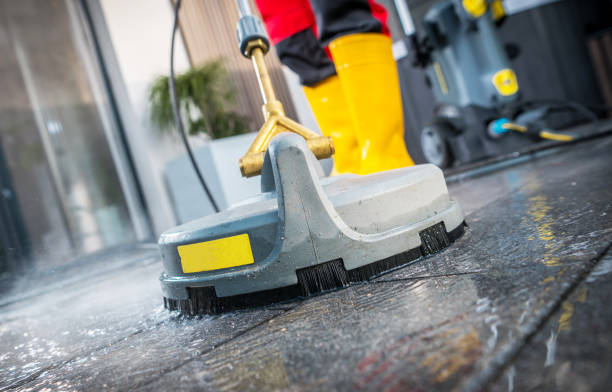 Best Roof Pressure Washing  in Harwich Port, MA